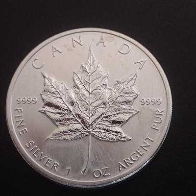 2011 Elizabeth II Canadian $5 Silver 1oz Coin (#94)