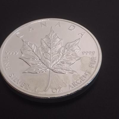 2011 Elizabeth II Canadian $5 Silver 1oz Coin (#94)