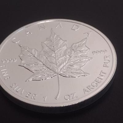 2012 Elizabeth II Canadian $5 Silver 1oz Coin (#95)