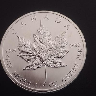 2012 Elizabeth II Canadian $5 Silver 1oz Coin (#95)