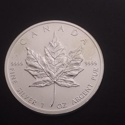 2012 Elizabeth II Canadian $5 Silver 1oz Coin (#96)