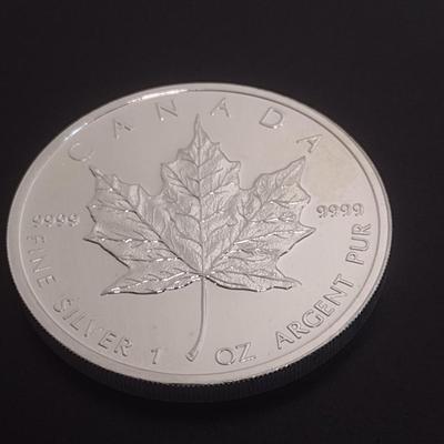 2012 Elizabeth II Canadian $5 Silver 1oz Coin (#96)