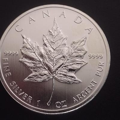 2012 Elizabeth II Canadian $5 Silver 1oz Coin (#97)