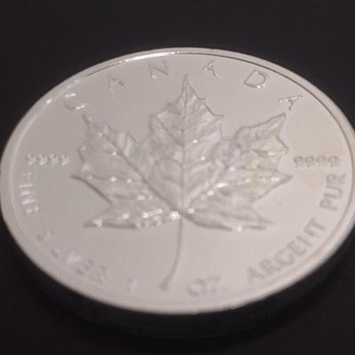 2012 Elizabeth II Canadian $5 Silver 1oz Coin (#97)