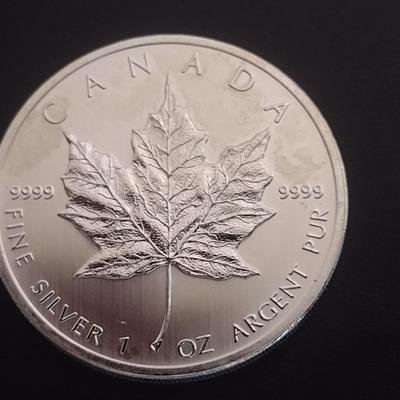 2012 Elizabeth II Canadian $5 Silver 1oz Coin (#98)