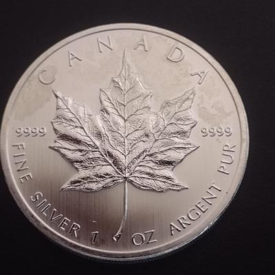 2012 Elizabeth II Canadian $5 Silver 1oz Coin (#98)