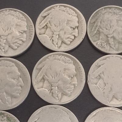Set of 17 Various Dates U.S. Mint Buffalo Nickels Circulated (#100)