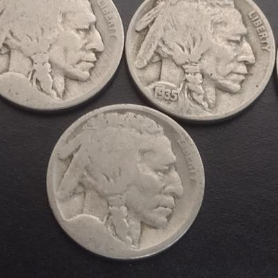 Set of 17 Various Dates U.S. Mint Buffalo Nickels Circulated (#100)