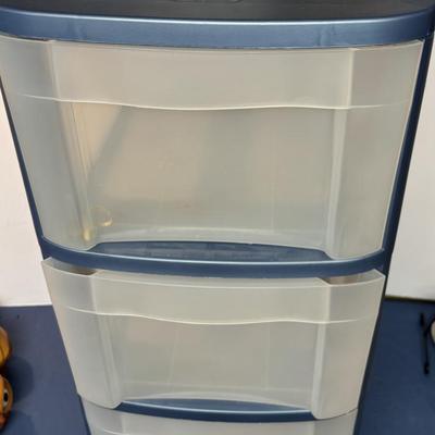 Organizer