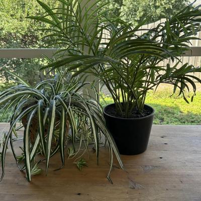 Fake Plants