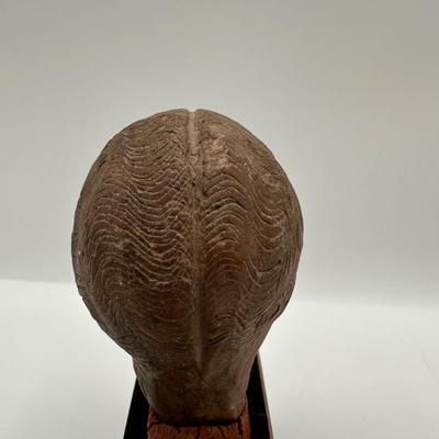 Terracotta Bust of Bearded Man on Wood Base