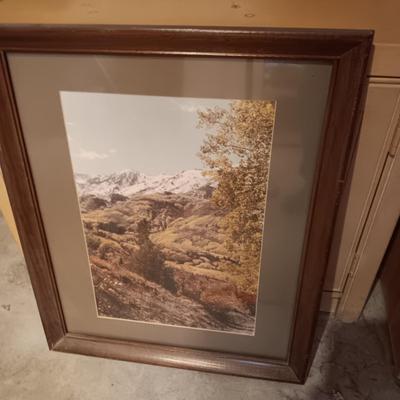 8 FROSTED GREEN STEMMED GLASSES AND A FRAMED PHOTO