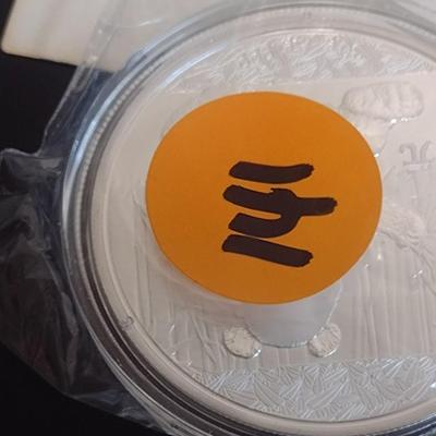 2017 Chinese 10 Yuan Silver 30gram Coin Uncirculated (#141)