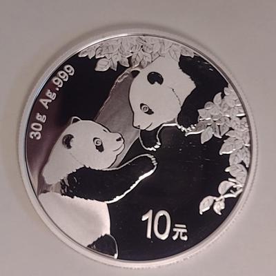2023 Chinese 10 Yuan Silver 30gram Coin Uncirculated (#146)