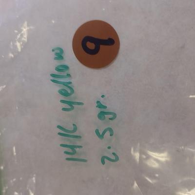 14K Yellow Gold Fish Design Tie Tack 2.5 grams (#9)