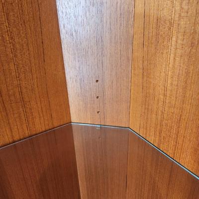 Skovby Mobelfabrink Danish Mid Century MCM Corner Cabinet w Light 37x21x66