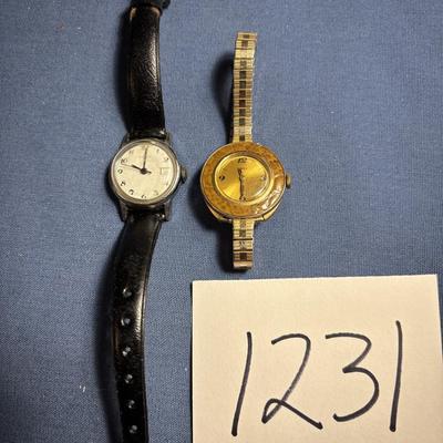 Timex Watch Lot
