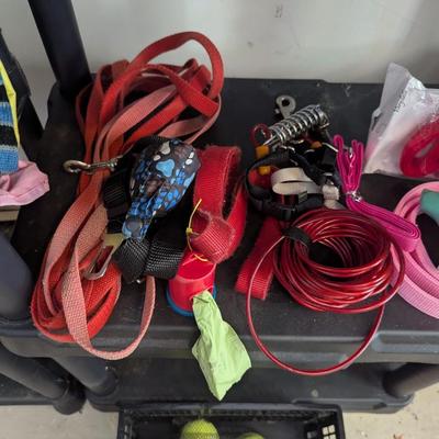 Dog Products & Leashes #2 (See All Photos) (G)