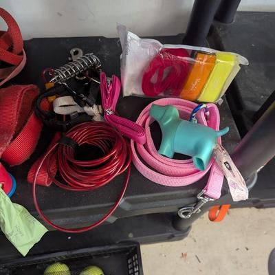 Dog Products & Leashes #2 (See All Photos) (G)