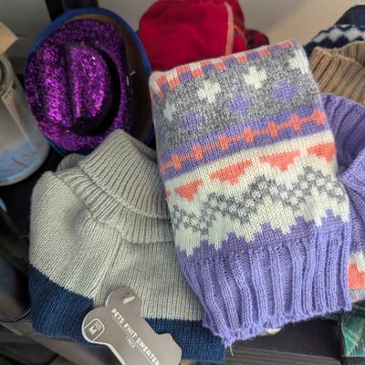 Small Dog Sweaters & Coats #4 (G)