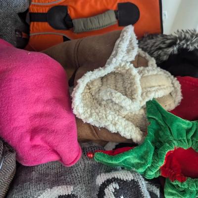 Small Dog Sweaters & Coats #5 (G)