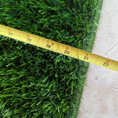 4 - 21" x 30" Grass For Pets (G)