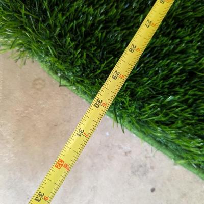 4 - 21" x 30" Grass For Pets (G)