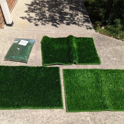 4 - 21" x 30" Grass For Pets (G)