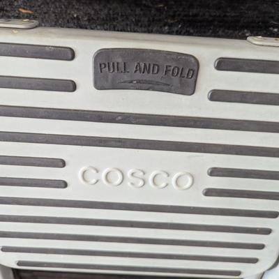 COSCO Step Ladder (G)