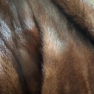 Lady's Fur Cape & Stole by Brothers Christie (B3)