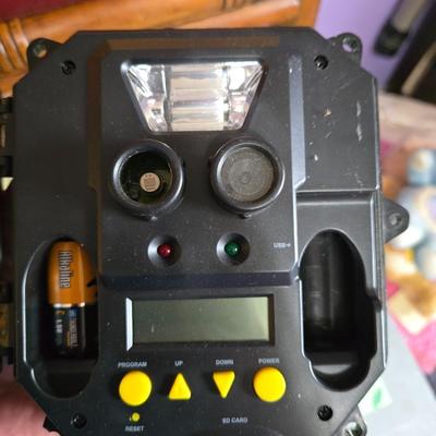 Trail cam lot