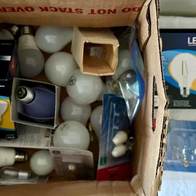 Box of Assorted Light Bulbs Incl. Box Indoor Floodlights (K)