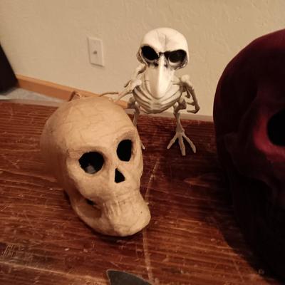 A COLLECTION OF SKULLS, CROW AND A SKELETON BIRD