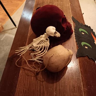 A COLLECTION OF SKULLS, CROW AND A SKELETON BIRD