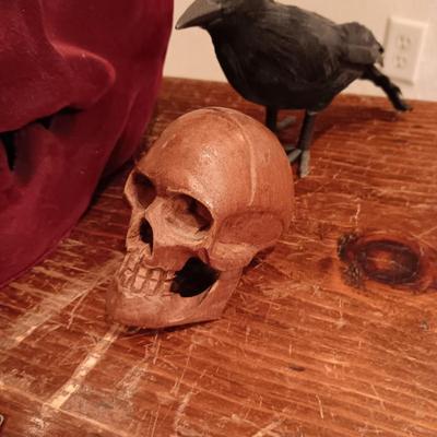 A COLLECTION OF SKULLS, CROW AND A SKELETON BIRD