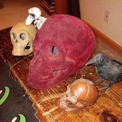 A COLLECTION OF SKULLS, CROW AND A SKELETON BIRD