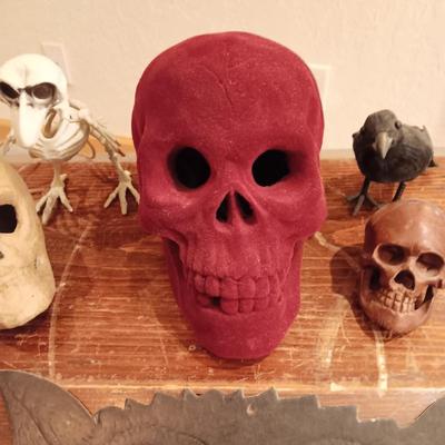 A COLLECTION OF SKULLS, CROW AND A SKELETON BIRD