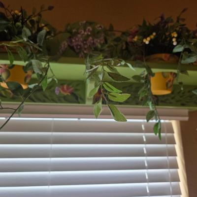 Sale Photo Thumbnail #321: 82” long
10” deep
Flowers & greenery included