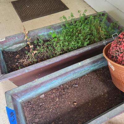 Sale Photo Thumbnail #518: Copper pots - 36x12
2 breakable tall pots
2 terra cotta
Animal planter is heavy