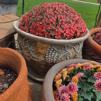 Sale Photo Thumbnail #553: Terra cotta flower pots
Birdhouses