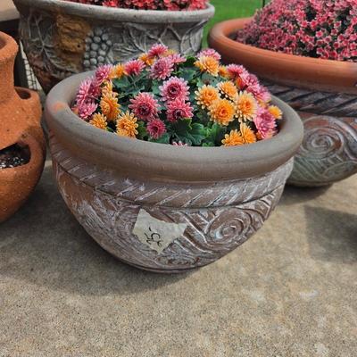Sale Photo Thumbnail #551: Terra cotta flower pots
Birdhouses