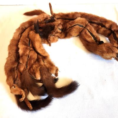 Lot #142 Vintage Mink Pelt (5) Shoulder Sling - 1930's - surprisingly good condition