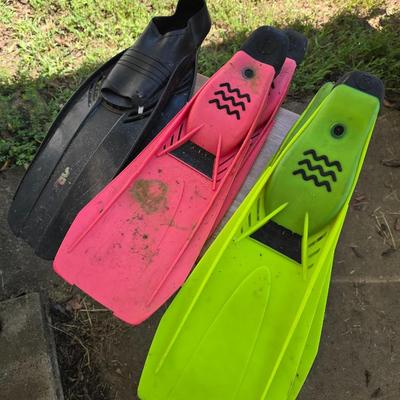 Flippers