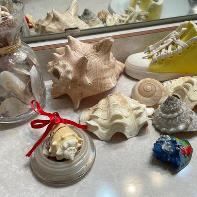 Shells & more