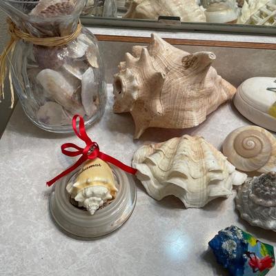 Shells & more