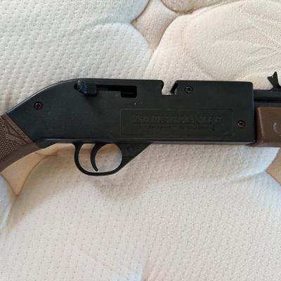 760 PUMPMASTER AIR RIFLE WITH BB'S