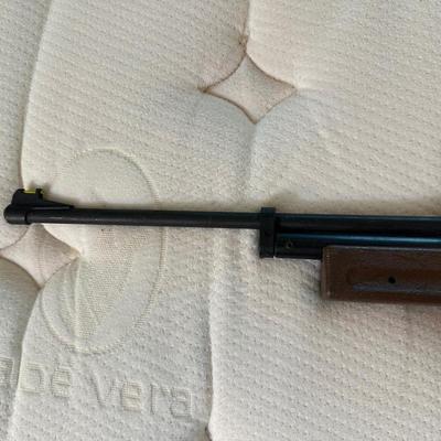 760 PUMPMASTER AIR RIFLE WITH BB'S