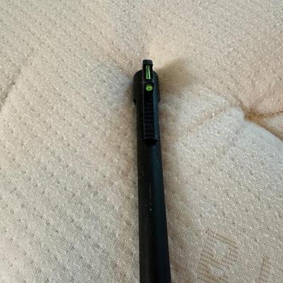 760 PUMPMASTER AIR RIFLE WITH BB'S