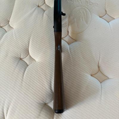 760 PUMPMASTER AIR RIFLE WITH BB'S