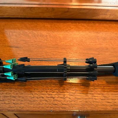 BLOWGUN WITH PAPER TARGETS